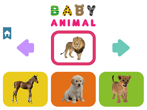 Read more about the article Baby Animal