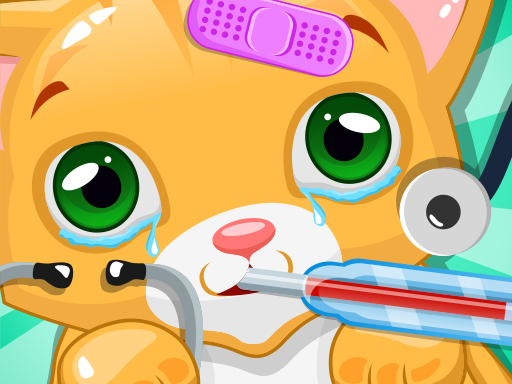 Read more about the article Kitty Doctor
