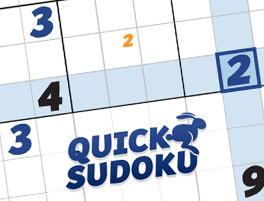 Read more about the article Quick Sudoku