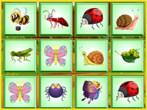 Read more about the article Find the Insect