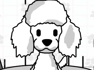 Read more about the article Pet Salon Doggy Days