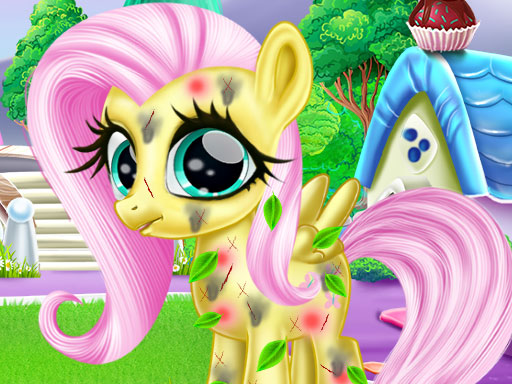 Read more about the article Little Pony Caretaker