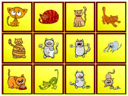 Read more about the article Cats Findiff