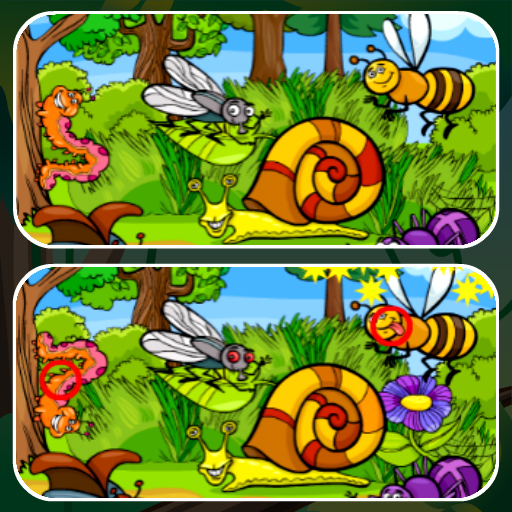 Read more about the article Insects Photo Differences
