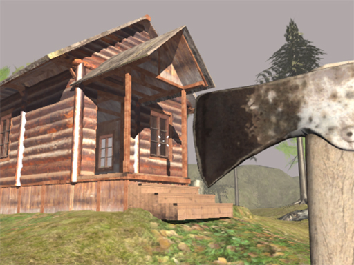 Read more about the article Surviving in the Woods