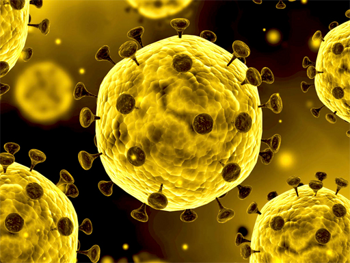 Read more about the article Coronavirus Slide