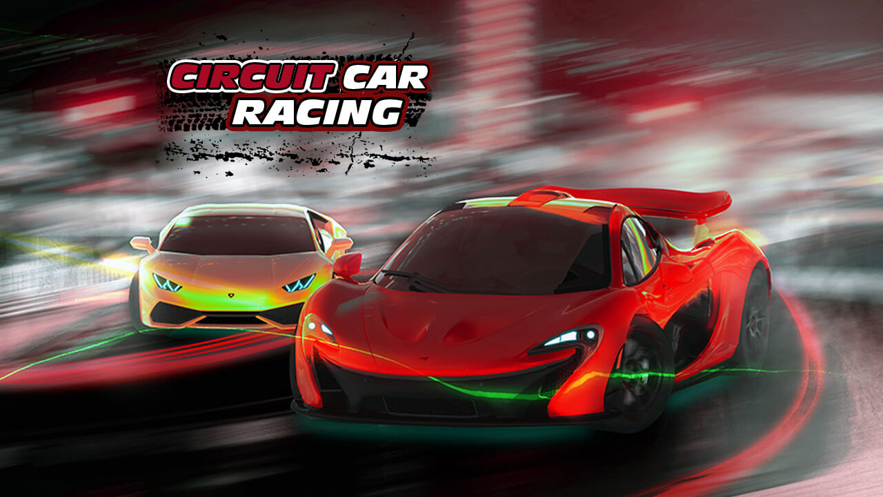 Read more about the article Circuit Car Racing