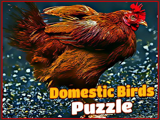 Read more about the article Domestic Birds Puzzle