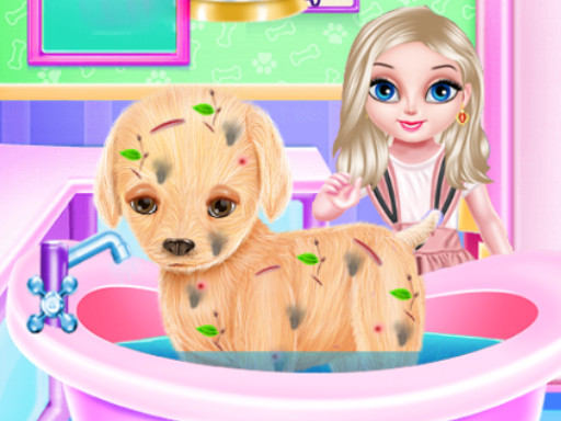 Read more about the article Baby Elsa Puppy Surgery