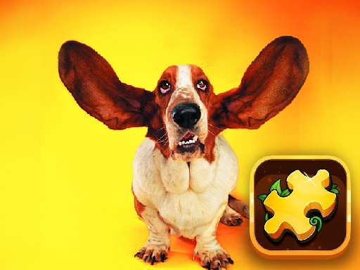 Read more about the article Funny Dogs Puzzle