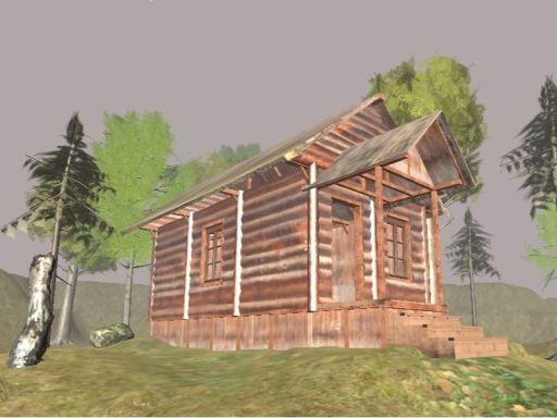 Read more about the article Survive In The Forest