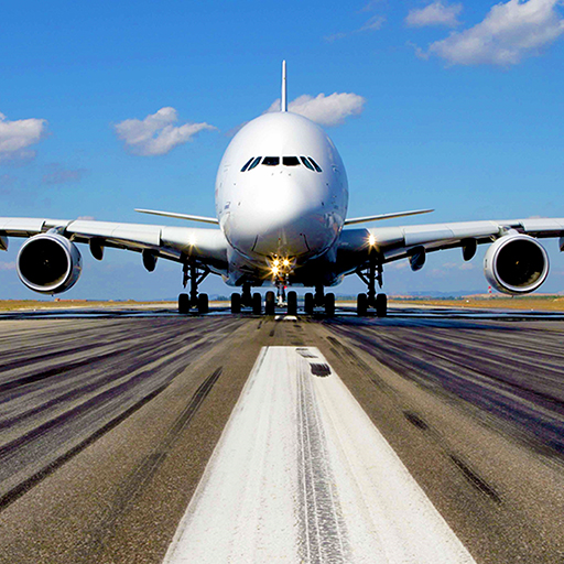 Read more about the article Real Flight Simulator 3D