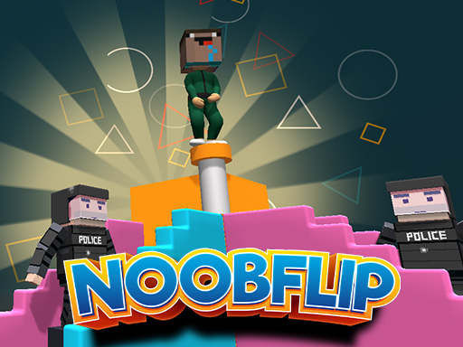Read more about the article Noob Flip