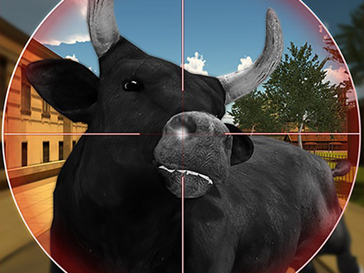 Read more about the article Bull Shooting