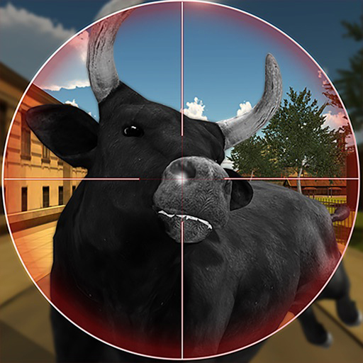 Read more about the article Bull Shooting