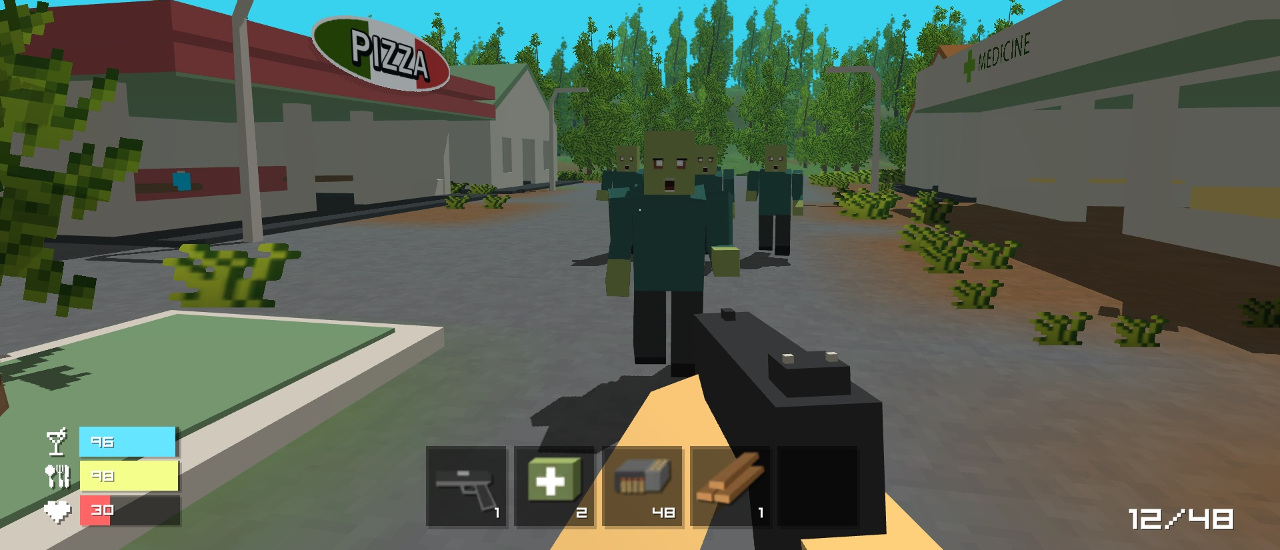 Read more about the article Pixel Survival