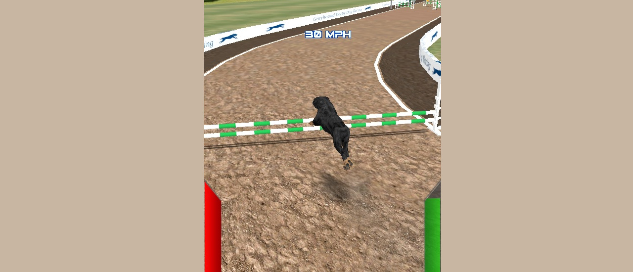 Read more about the article Dog Racing Simulator