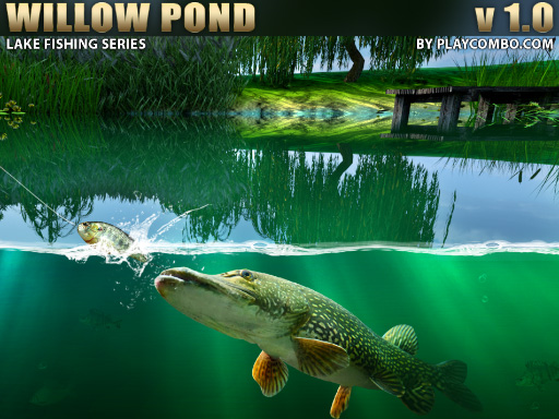 Read more about the article Willow Pond Fishing