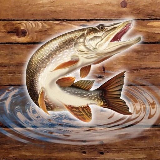 Read more about the article Fish rain
