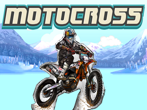 Read more about the article Motocross