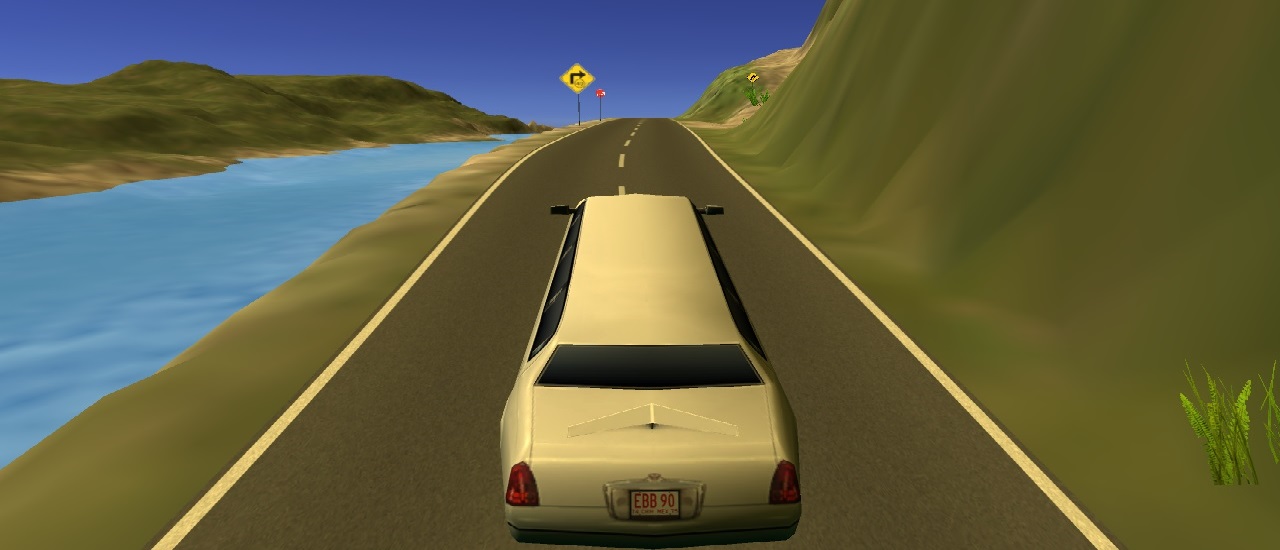 Read more about the article Limousine Driver