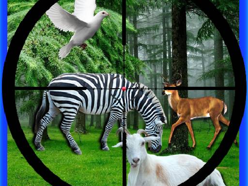 Read more about the article Real Jungle Animals Hunting