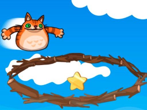 Read more about the article Ultimate Angry Cat