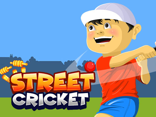 Read more about the article Street Cricket