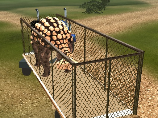 Read more about the article Dino Transport Truck