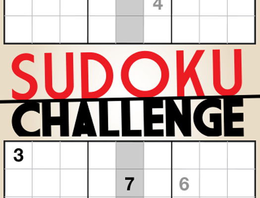 Read more about the article Sudoku Challenge