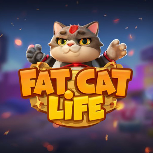 Read more about the article Fat Cat Life