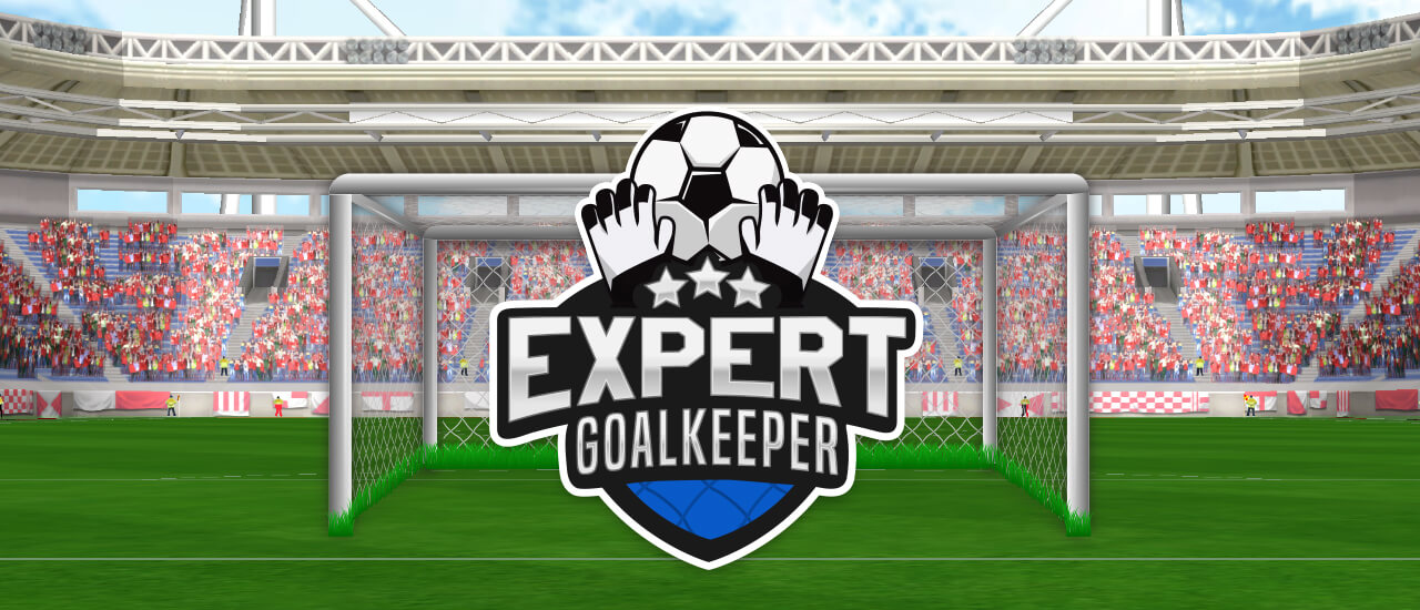 Read more about the article Expert Goalkeeper