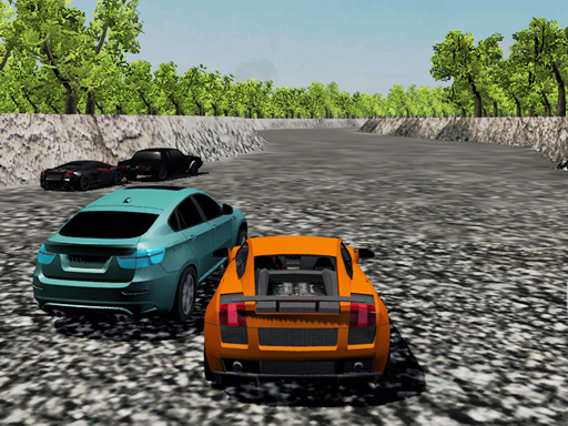 Read more about the article 3d Racing Extreme