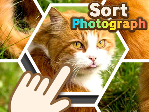 Read more about the article Sort Photograph