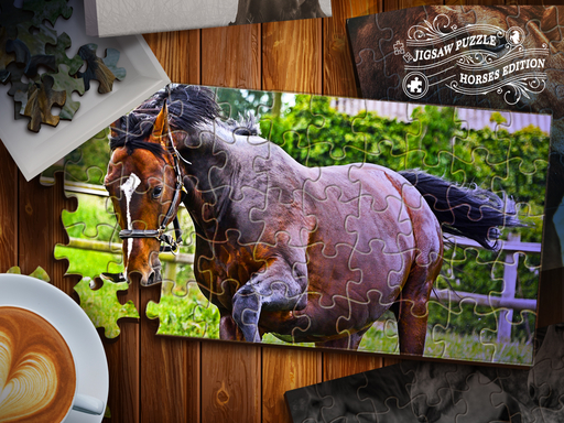 Read more about the article Jigsaw Puzzle Horses Edition