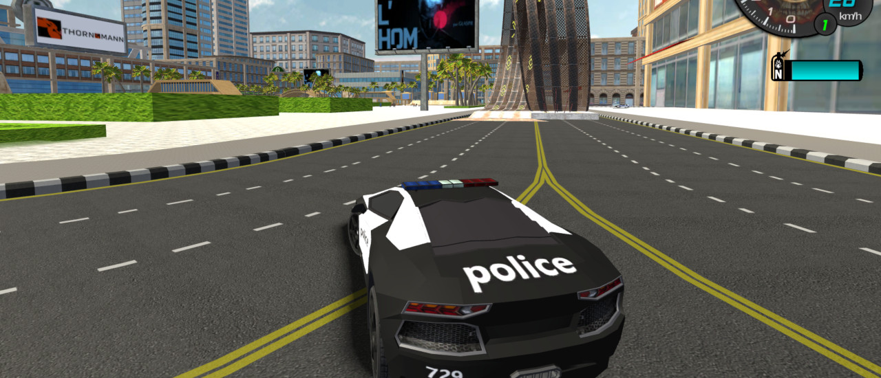 Read more about the article Police Stunt Cars