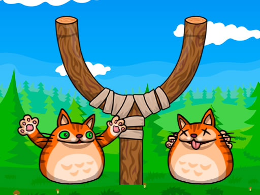Read more about the article Shot the Angry Cat