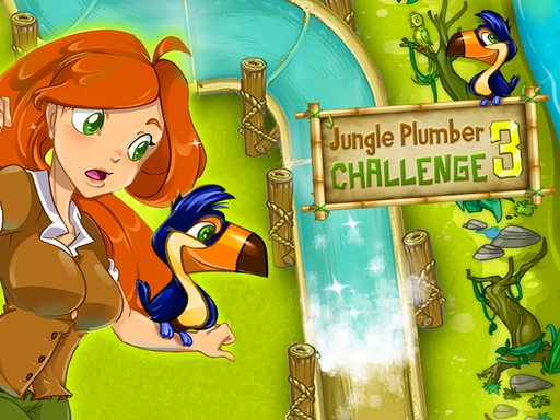 Read more about the article Jungle Plumber Challenge 3