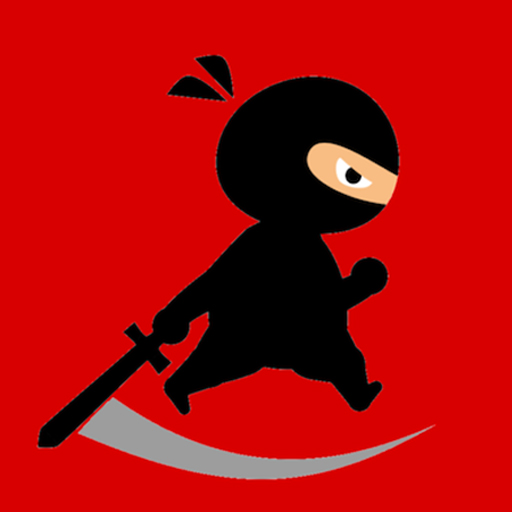 Read more about the article Mr Ninja Fighter