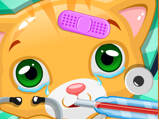 Read more about the article Little Cat Doctor