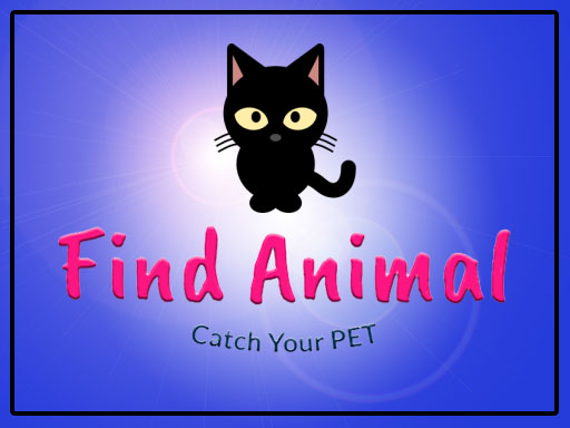 Read more about the article FindAnimalIO