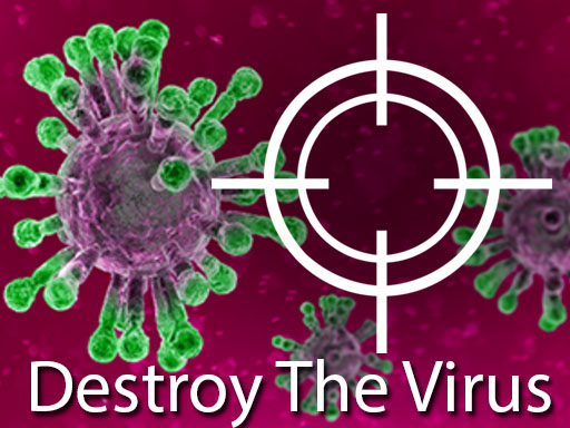 Read more about the article Destroy The Virus