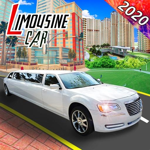 Read more about the article Luxury Wedding Taxi Driver City Limousine Driving