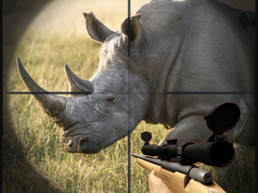 Read more about the article Wild Rhino Hunter