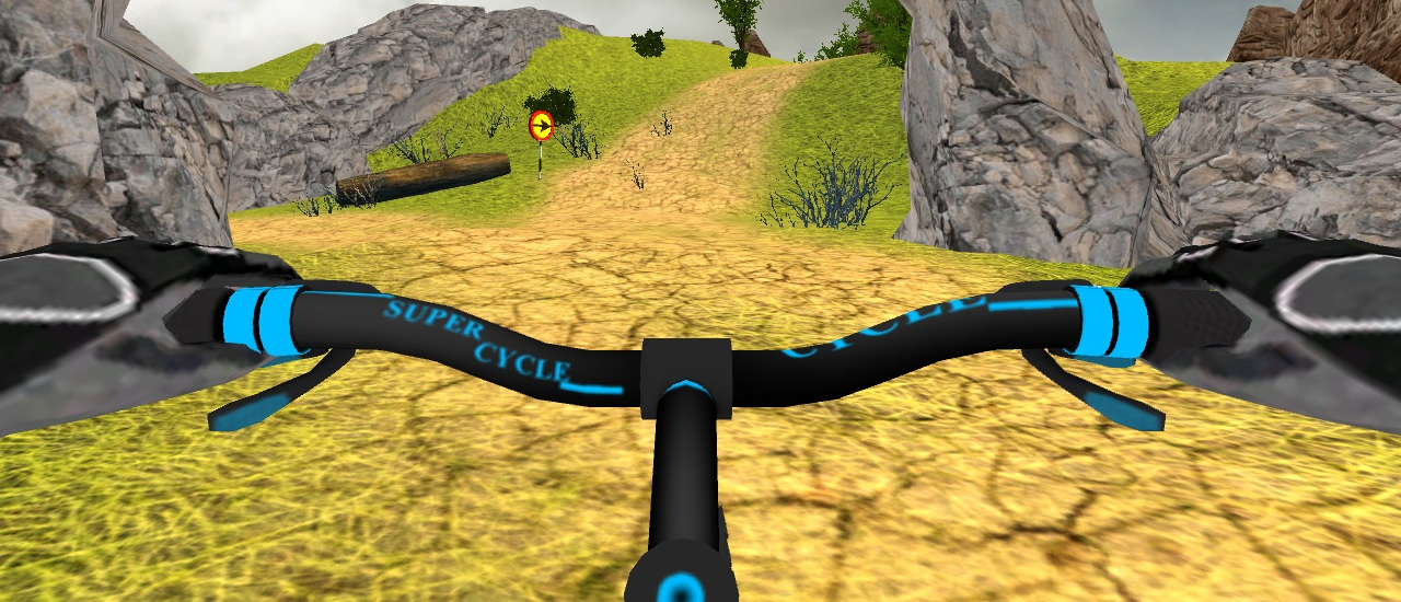 Read more about the article Offroad Bicycle