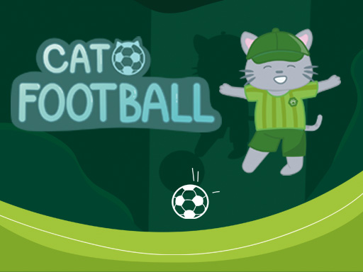 Read more about the article Cat Football
