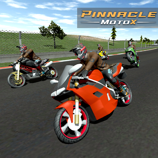 Read more about the article Pinnacle MotoX