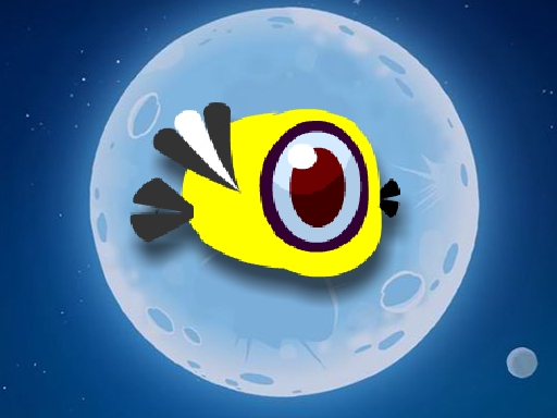 Read more about the article Yellow Bird Adventure