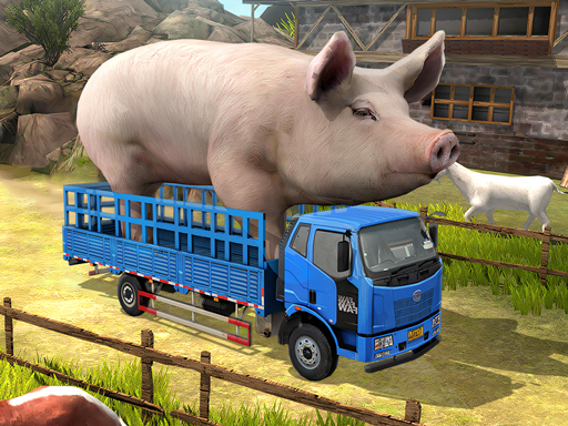Read more about the article Driver Master Simulator
