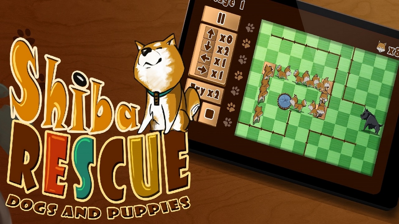 Read more about the article Shiba Rescue Dogs and Puppies
